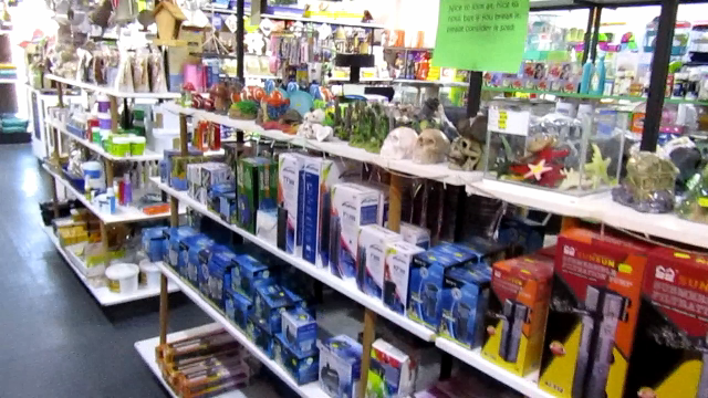 aquarium-accessories