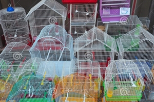 small-bird-cages